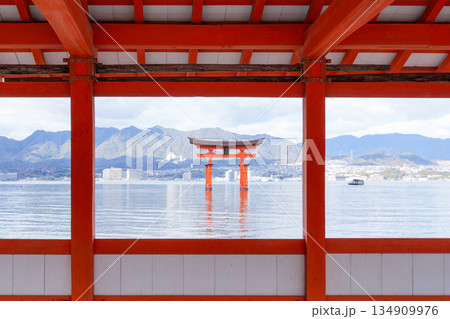 日本三景・世界遺産の島・宮島（広島県、2025年12月撮影） 134909976