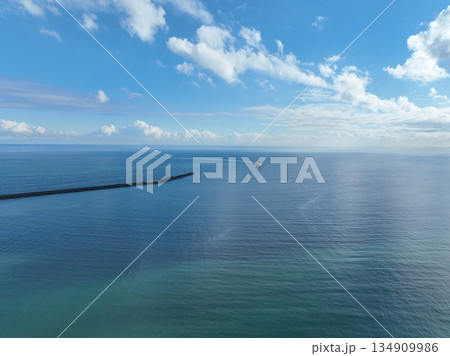 ＜空撮＞大きく舵を切り入港するさんふらわふらの 134909986