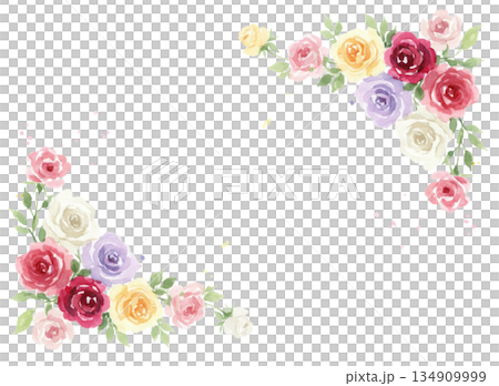 水彩で描いたバラの背景素材 134909999
