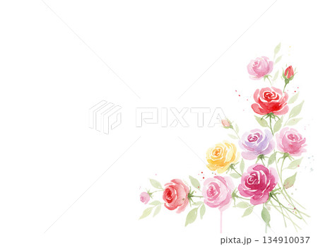 水彩で描いたバラの背景素材 134910037