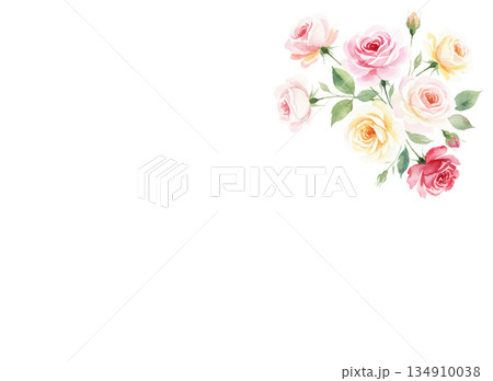 水彩で描いたバラの背景素材 134910038