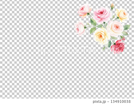 水彩で描いたバラの背景素材 134910038