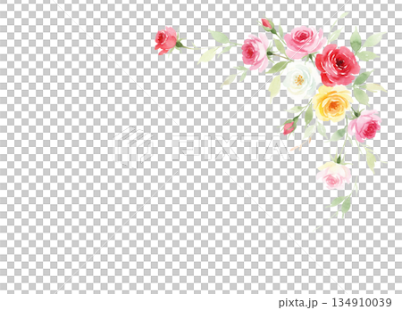 水彩で描いたバラの背景素材 134910039