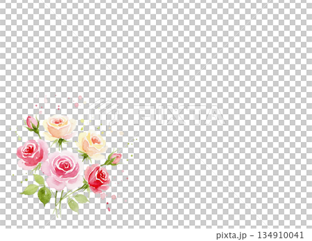 水彩で描いたバラの背景素材 134910041
