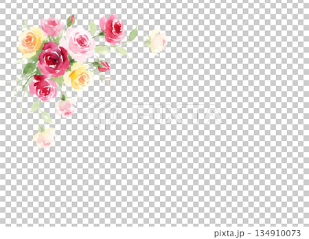 水彩玫瑰背景素材 134910073