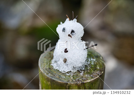 冬の自然に佇む小さな雪だるま|屋外で作られたミニチュア雪像 冬の自然に佇む小さな雪だるま|屋外で作られたミニチュア雪像 134910232