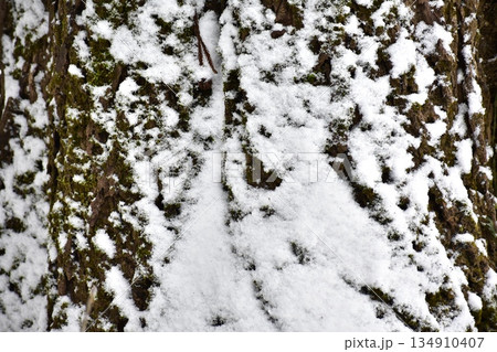 雪 雪 134910407