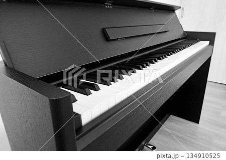 電子ピアノ「88鍵」側面アングル「白黒」 134910525