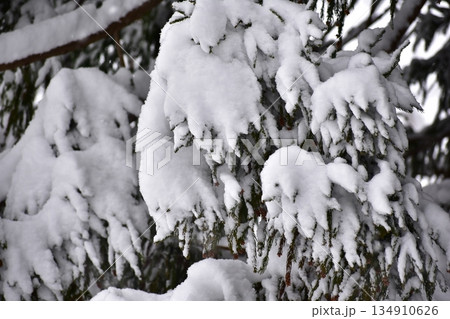 新雪 新雪 134910626