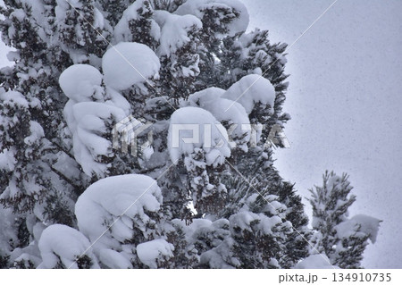 積雪 134910735