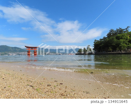 砂浜から見た厳島神社の大鳥居 砂浜から見た厳島神社の大鳥居 134911645