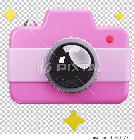 Pink Festive Camera 134911785