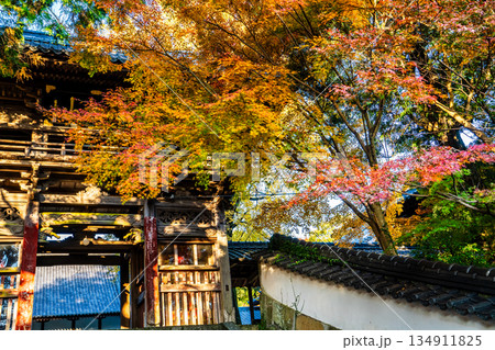 天祐寺の紅葉【長崎県諫早市】 134911825