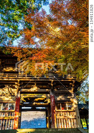 天祐寺の紅葉【長崎県諫早市】 134911826