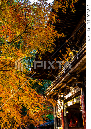 天祐寺の紅葉【長崎県諫早市】 天祐寺の紅葉【長崎県諫早市】 134911842
