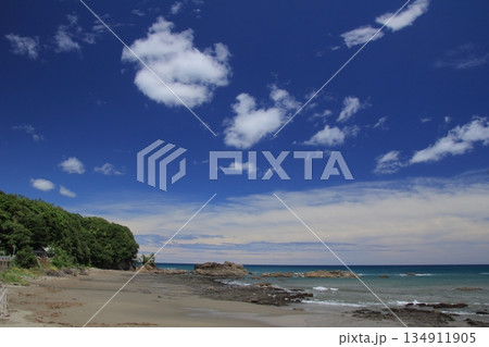 高知県　晴天の土佐湾の風景 134911905