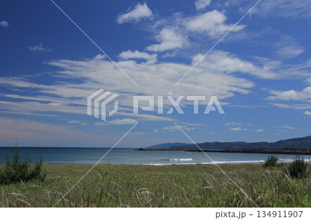 高知県　晴天の土佐湾の風景 134911907