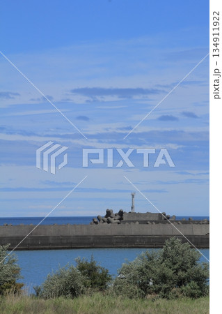 高知県　晴天の土佐湾の風景 134911922