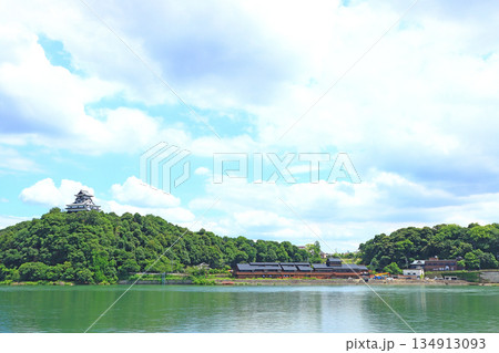 愛知県犬山市、国宝犬山城と木曽川の風景 134913093