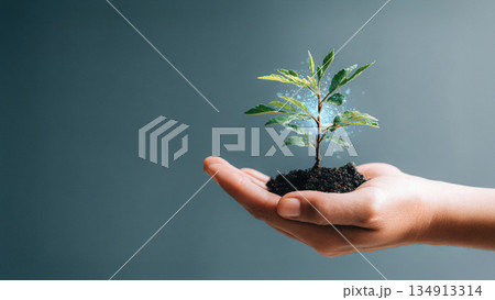 手のひらで育む植物にホログラム 手のひらで育む植物にホログラム 134913314