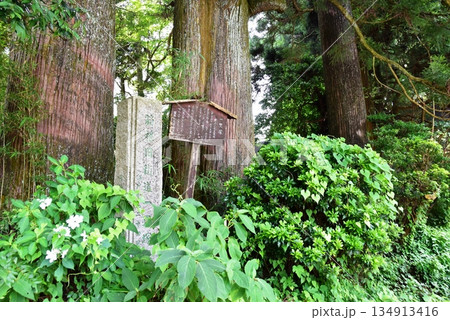箱根町 葭原久保一里塚石柱と案内板 箱根町 葭原久保一里塚石柱と案内板 134913416