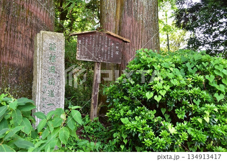 箱根町　葭原久保の一里塚石柱と案内板 134913417