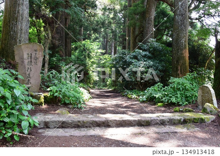 箱根町 箱根旧街道杉並木 箱根町 箱根旧街道杉並木 134913418