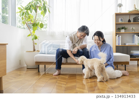50代の夫婦と犬　犬との暮らしイメージ 134913433