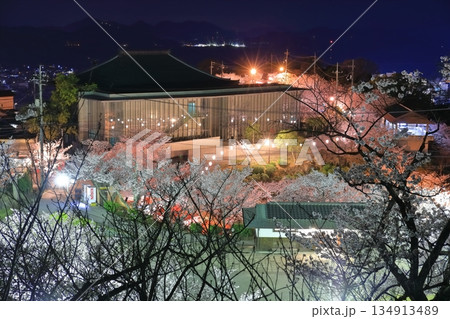 【広島県】千光寺公園の夜桜（尾道） 134913489