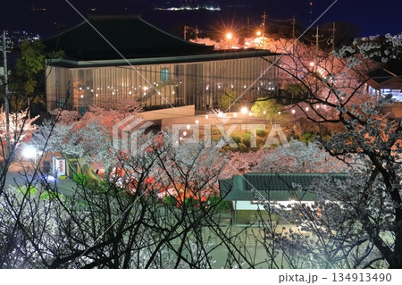 【広島県】千光寺公園の夜桜（尾道） 134913490