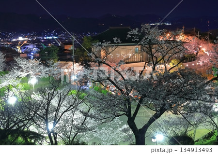 【広島県】千光寺公園の夜桜（尾道） 134913493