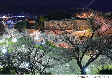 【広島県】千光寺公園の夜桜（尾道） 134913494