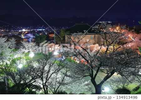 【広島県】千光寺公園の夜桜（尾道） 134913496