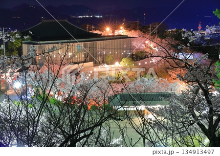 【広島県】千光寺公園の夜桜（尾道） 134913497