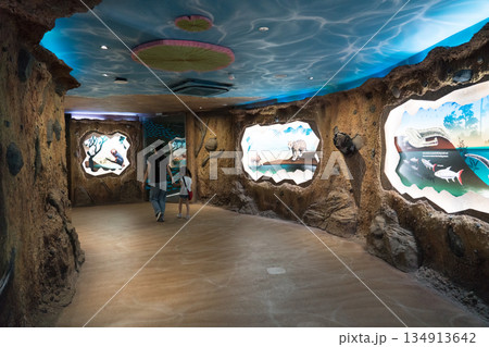 River Wonders River Wonders 134913642