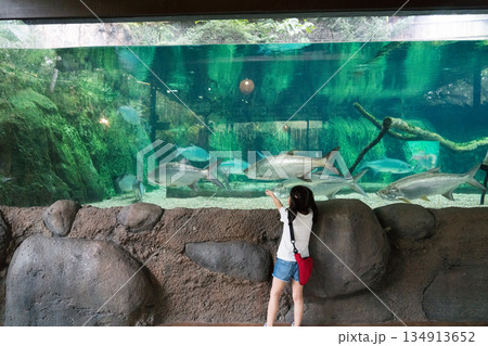 River Wonders River Wonders 134913652