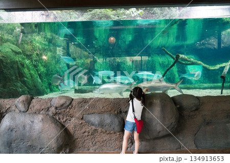 River Wonders River Wonders 134913653