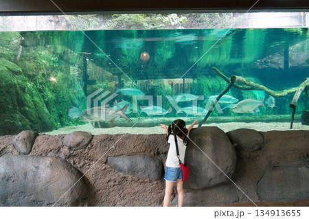 River Wonders 134913655