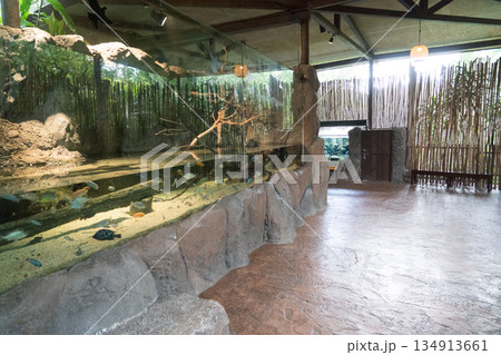 River Wonders River Wonders 134913661