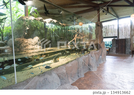 River Wonders 134913662