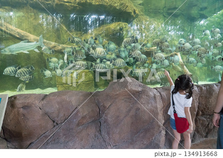 River Wonders River Wonders 134913668