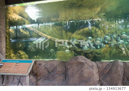 River Wonders River Wonders 134913677