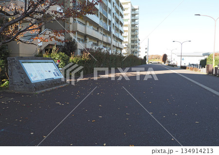 東山道武蔵路跡【東京都国分寺市】 134914213