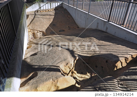 東山道武蔵路遺構再生展示施設【東京都国分寺市】 134914214