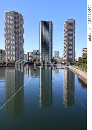 東京都江東区東雲の東雲住宅の風景 134914404