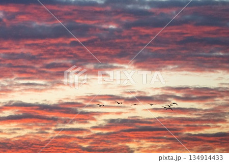 湖の輝く冬の朝 湖の輝く冬の朝 134914433