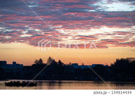 湖の輝く冬の朝 134914434