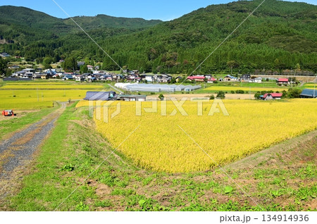 秋の宮守 棚田地帯 134914936