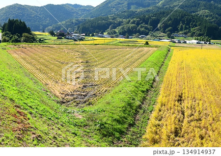 秋の宮守 棚田地帯 秋の宮守 棚田地帯 134914937