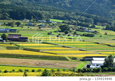 秋の宮守 棚田地帯 秋の宮守 棚田地帯 134914946
